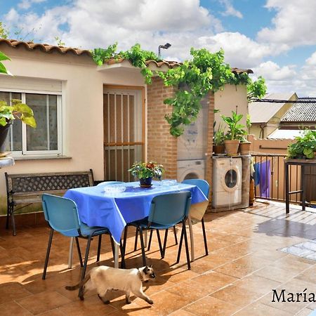 Comfortable Apartment In Caceres 55 M² Welcoming Terrace エクステリア 写真