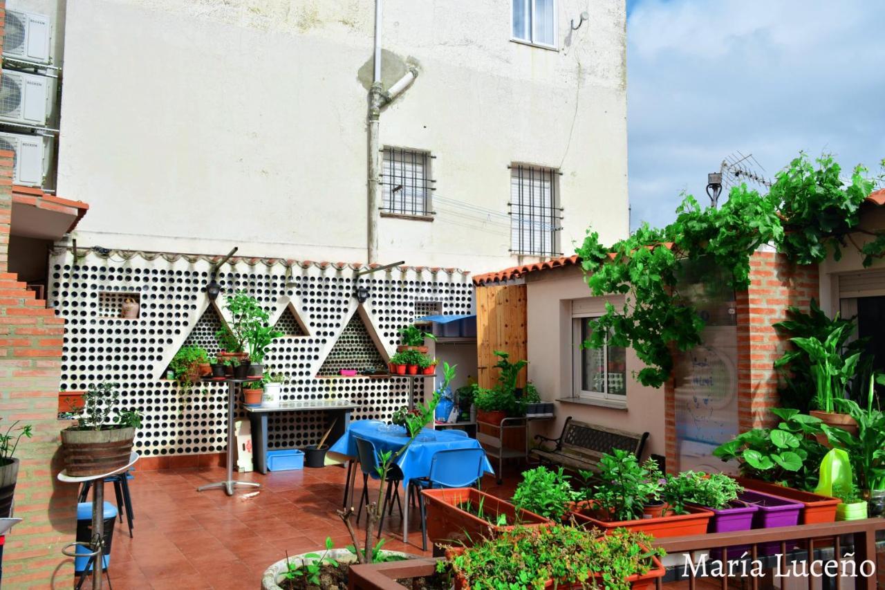 Comfortable Apartment In Caceres 55 M² Welcoming Terrace エクステリア 写真