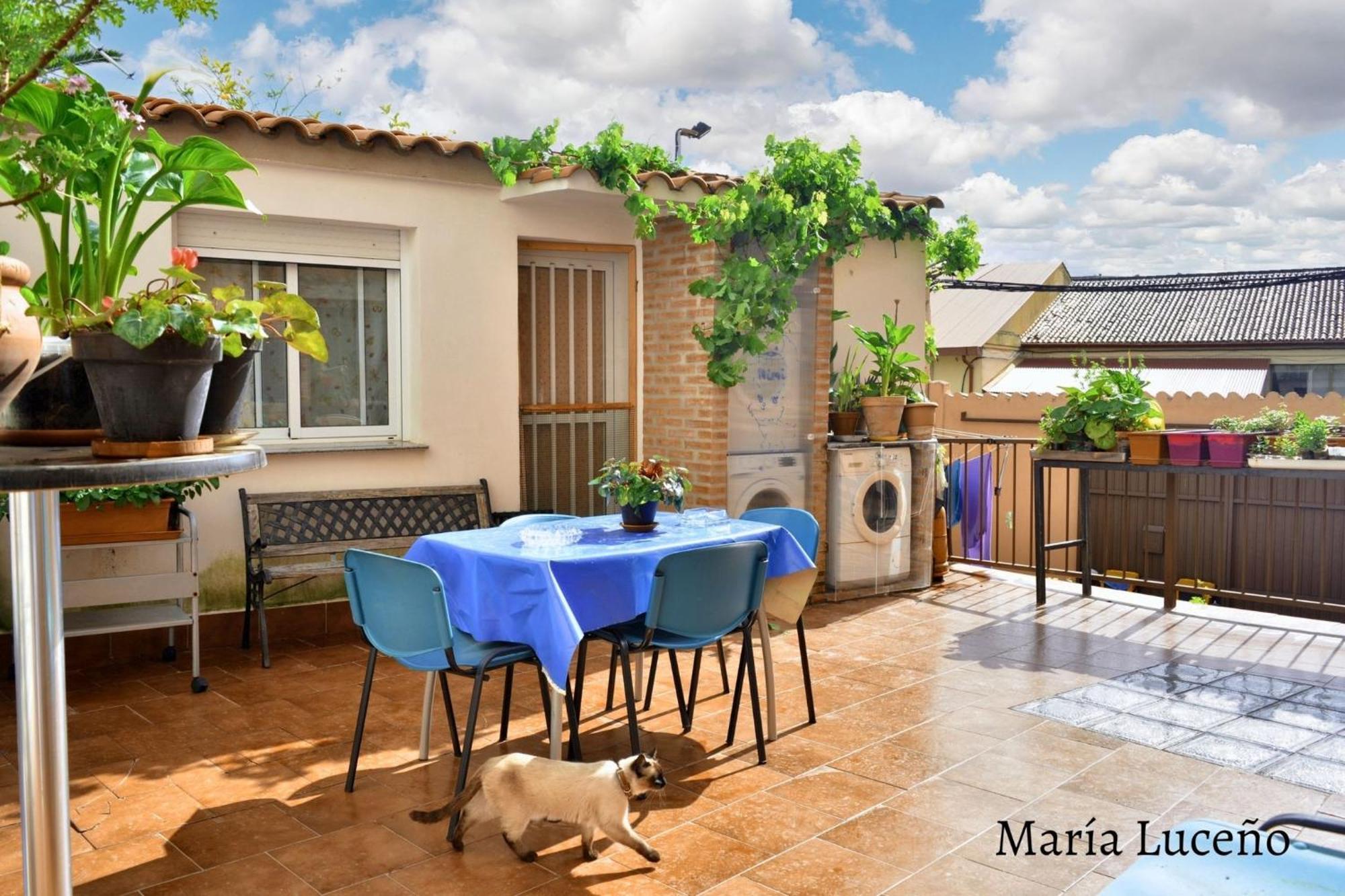 Comfortable Apartment In Caceres 55 M² Welcoming Terrace エクステリア 写真